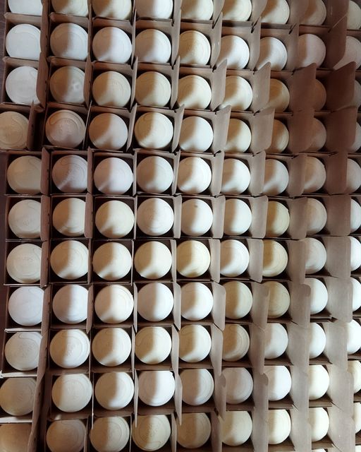 Organic Certified Balancing Solid Shampoo - Lavender & Rosemary - Dry