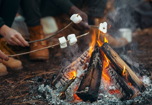 Campfire & Fireflies Organic Handmade Soap | Smoky Nights & Summer